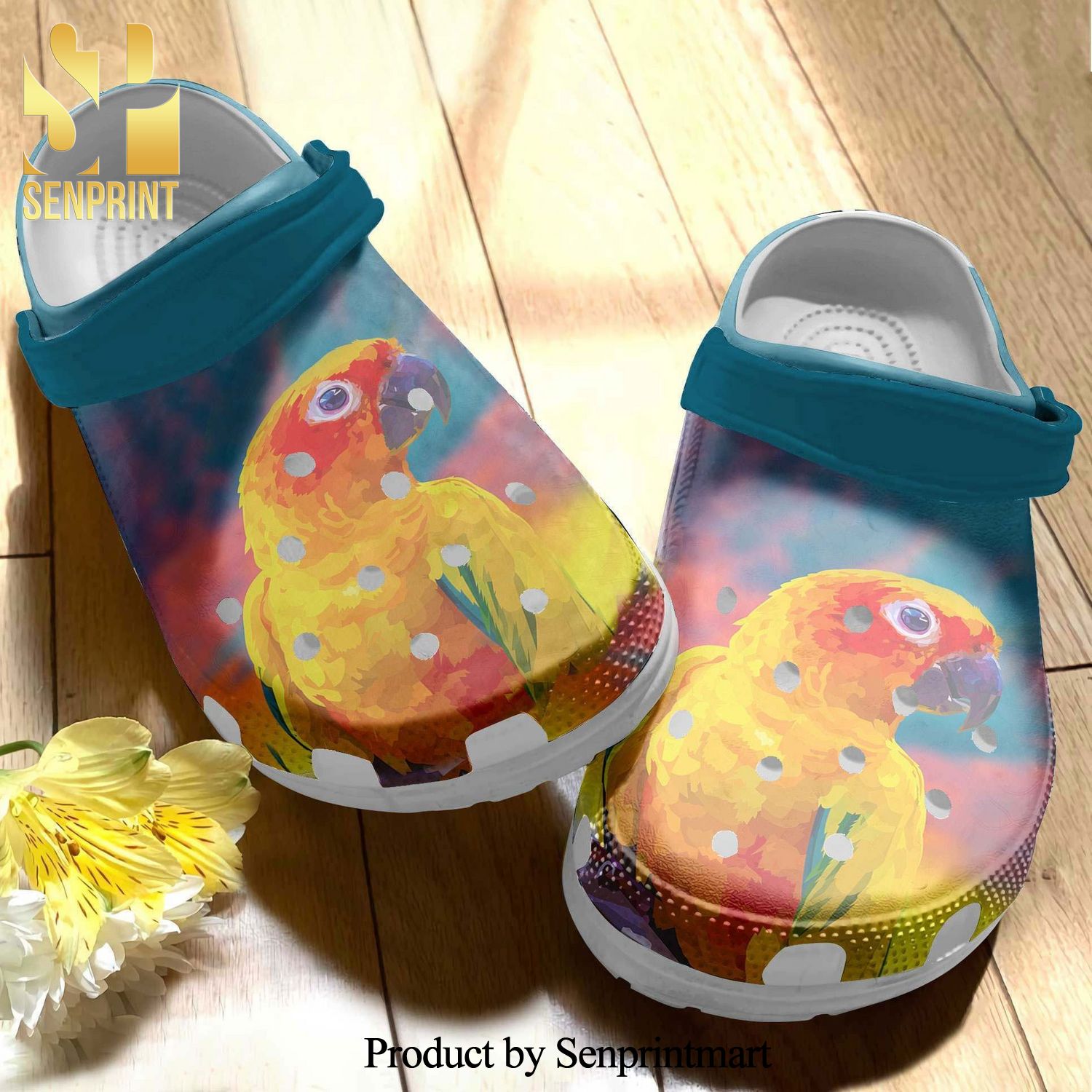 Birds Parrot Colorful Gift For Lover New Outfit Crocs Crocband Clog