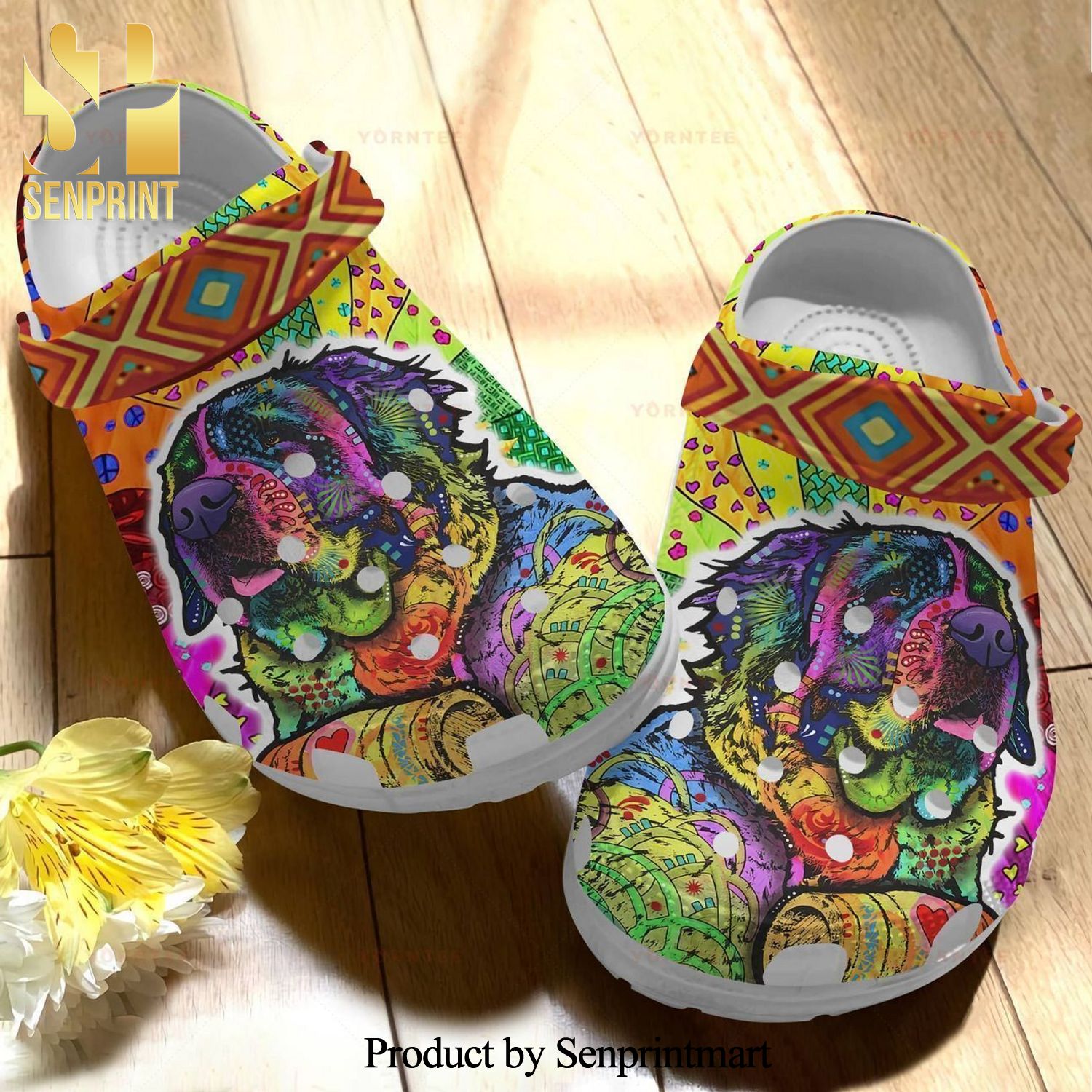 Colorful Saint Bernard Dog Gift For Lover Rubber Crocs Crocband Clog