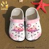 Flamingo In Pocket 6 Gift For Lover New Outfit Crocs Unisex Crocband Clogs