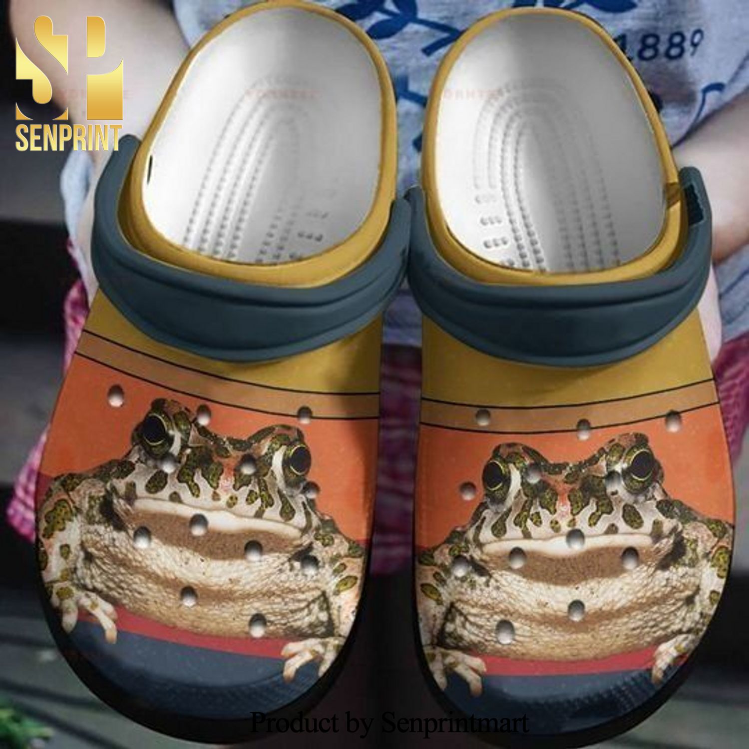 Personalized Colorful Frog Gift For Lover 3D Crocs Classic