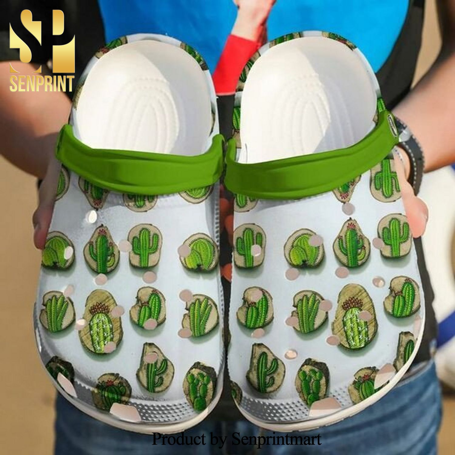 Succulent Fancy Icon 102 Gift For Lover New Outfit Crocband Crocs