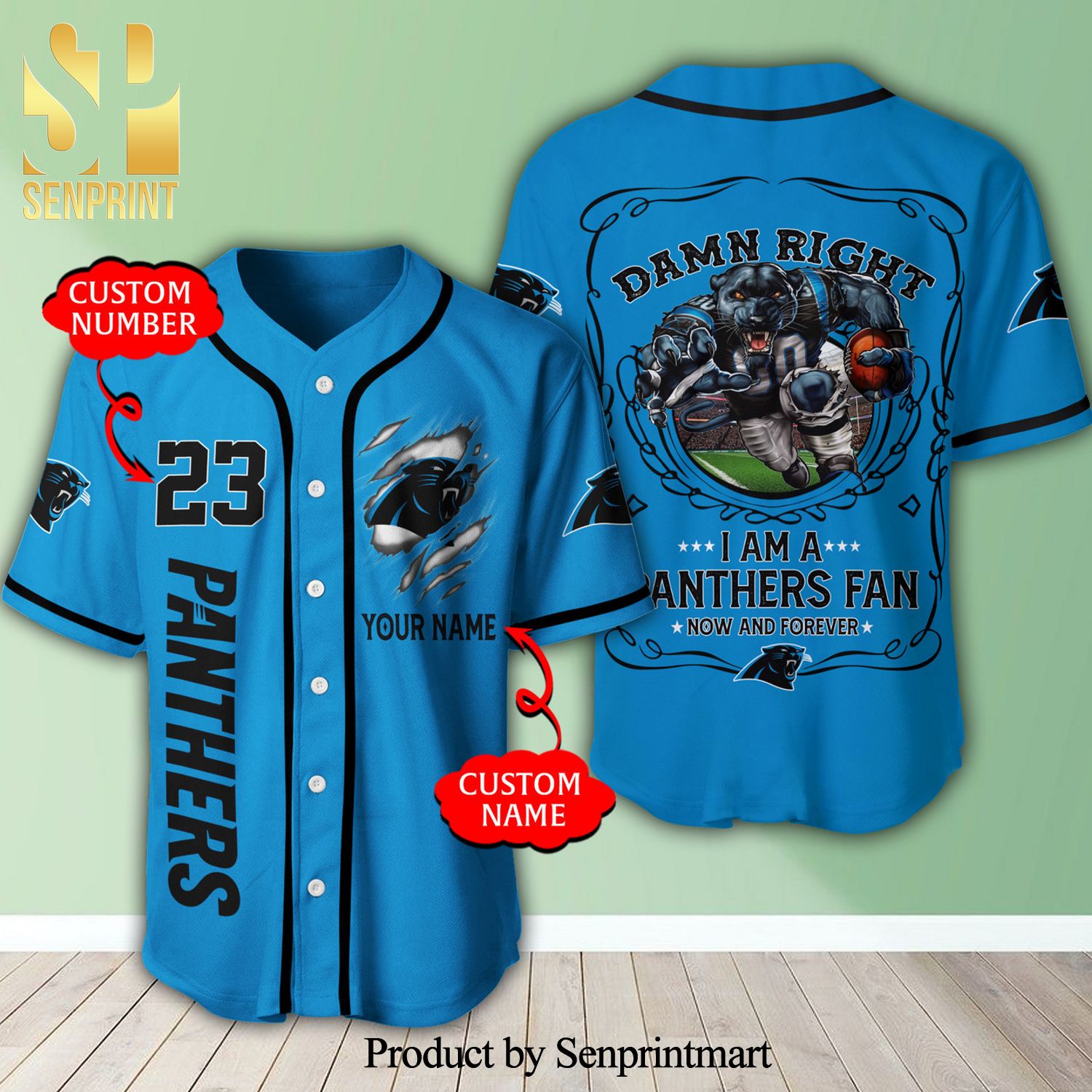 Personalized Carolina Panthers Mascot Damn Right 3D Full Printing Baseball Jersey