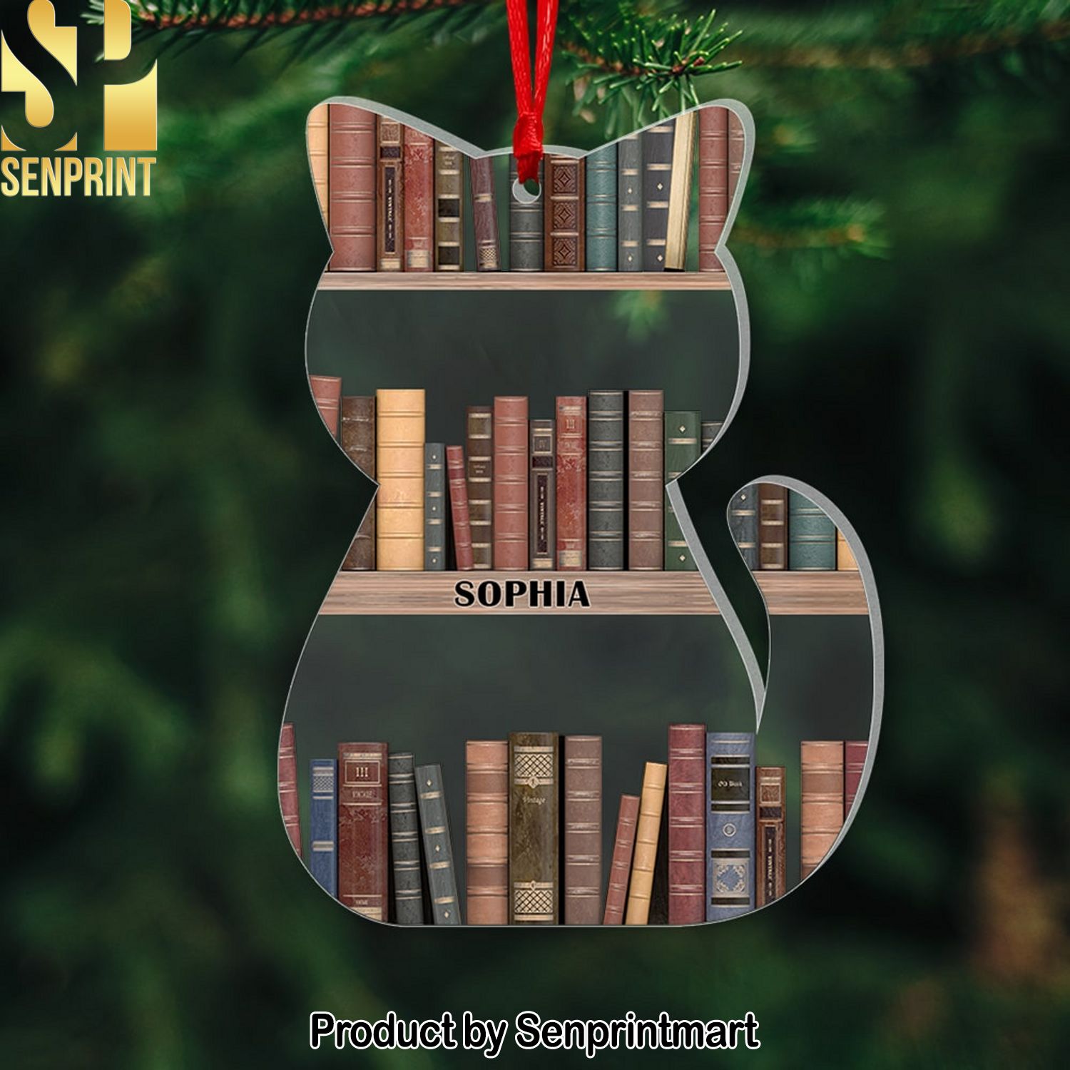 Cat and Books Ornament Personalized Acrylic Ornament Gift For Book And Cat Lovers Christmas Gift