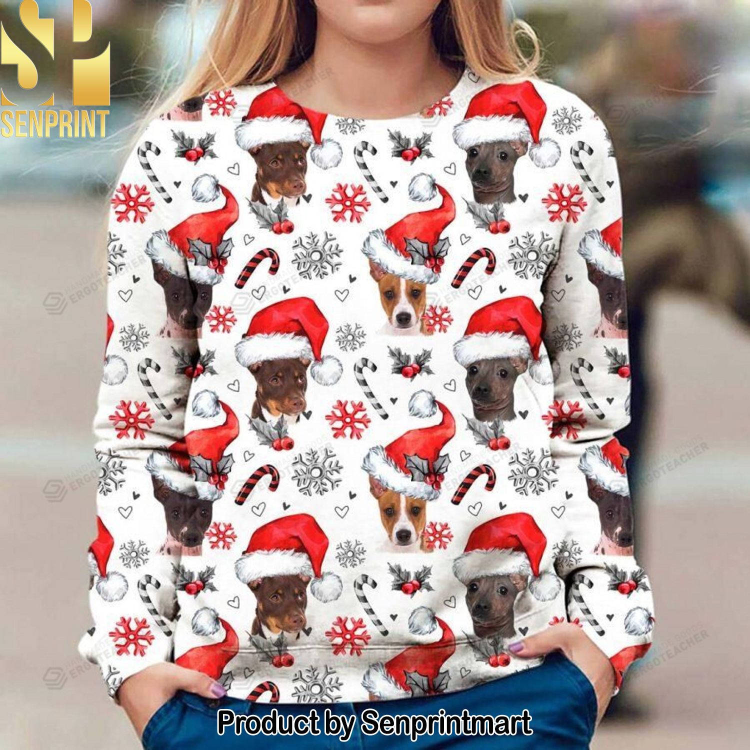American Hairless Terrier 3D Printed Ugly Christmas Sweater
