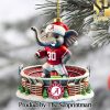 Alabama Crimson Tide For Fans All Over Print Christmas Figurine Ornaments SEN1423