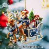 Penn State Nittany Lions For Fan All Over Printed Christmas Figurine Ornaments SEN1312