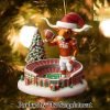 Texas Longhorns Gift Ideas 3D Christmas Figurine Ornaments SEN1157